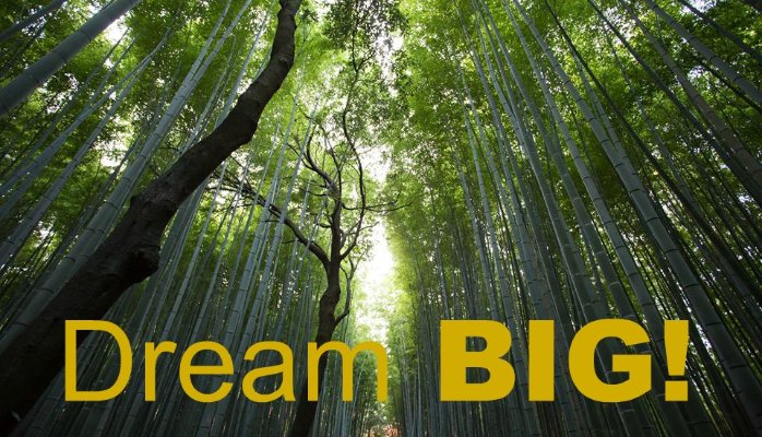 Dream BIG!